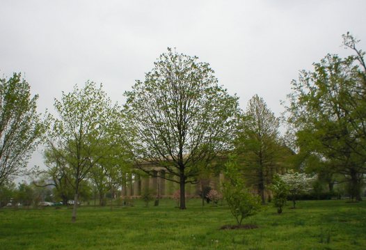 Nashville Parthenon